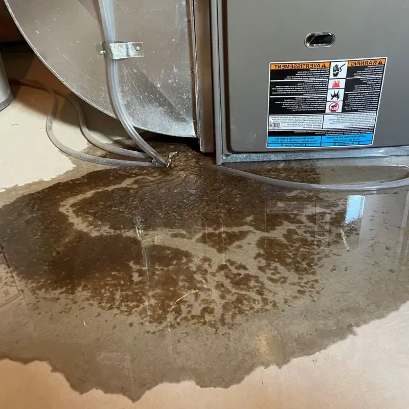Pipe Burst and Leak Restoration in Haakon County, SD