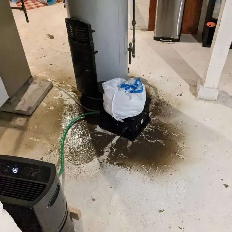 Sewage Backup Cleanup Service in Haakon County, SD